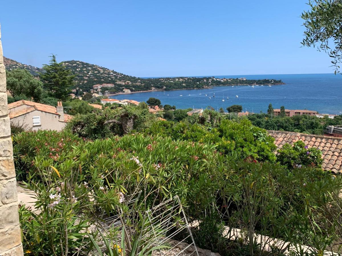 Saint-Raphaël Villa Grand Baie מראה חיצוני תמונה
