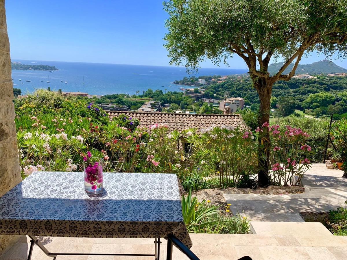 Saint-Raphaël Villa Grand Baie מראה חיצוני תמונה